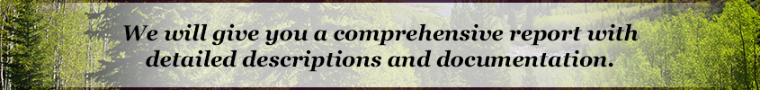 faqsbanner