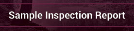 sample-report-button